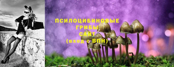 ГАЛЛЮЦИНОГЕННЫЕ ГРИБЫ Богородск